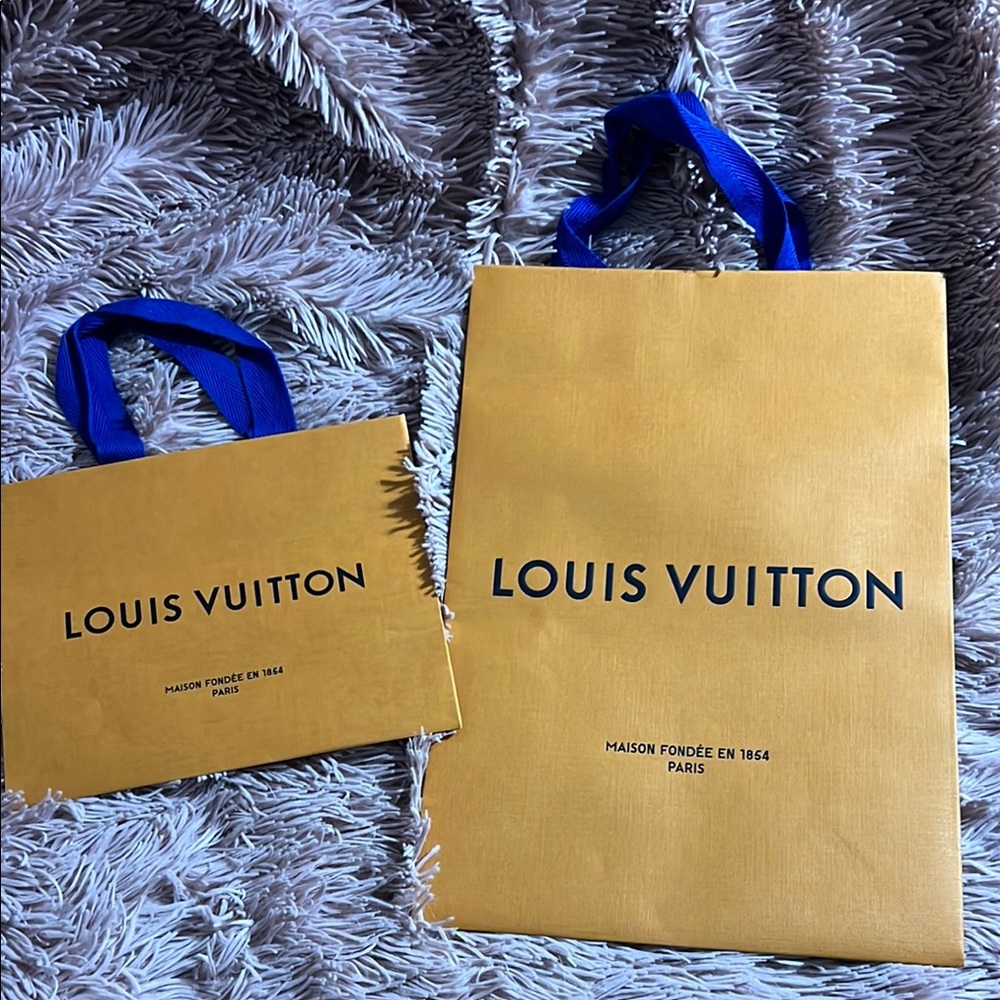 Louis Vuitton shopping bag